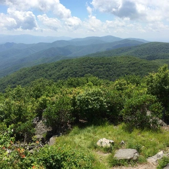 tourhub | Intrepid Travel | Hiking and Backpacking North Carolina's Appalachian Mountains 