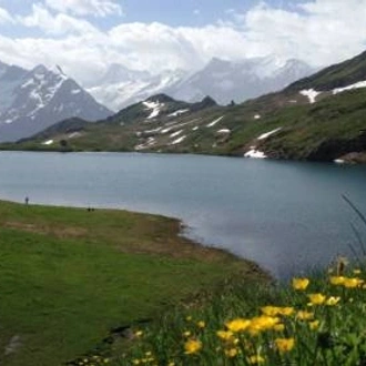 tourhub | Walkers' Britain | Meiringen: Panoramas of the Swiss Alps 