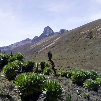 tourhub | Gracepatt Ecotours Kenya | 5 Days Mount Kenya climbing via Sirimon Route  