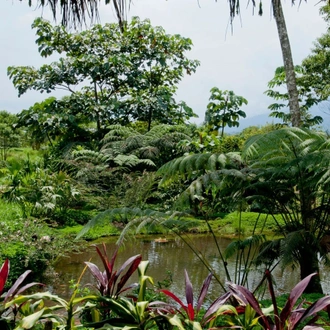 tourhub | Ecuador Galapagos Travels | 12 Days Empowerment and Exploration: A Women's Journey through Ecuador's Beauty 