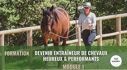 Représentation de la formation : Devenir entraîneur de chevaux heureux et performants - Module 1