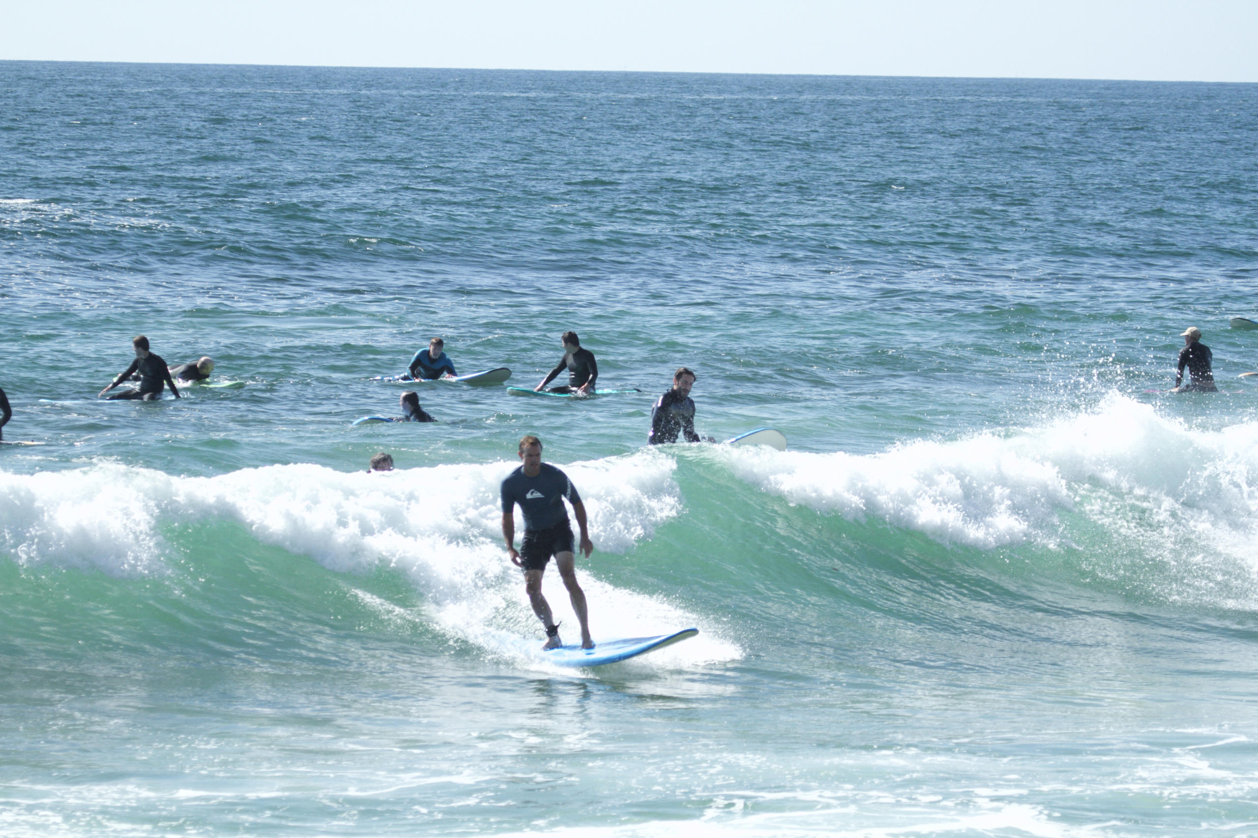 Surfing or Paddle Boarding Lessons at Laguna Beach: Reefs, Hidden Beaches, Dolphins, Marine Life, and More image 17