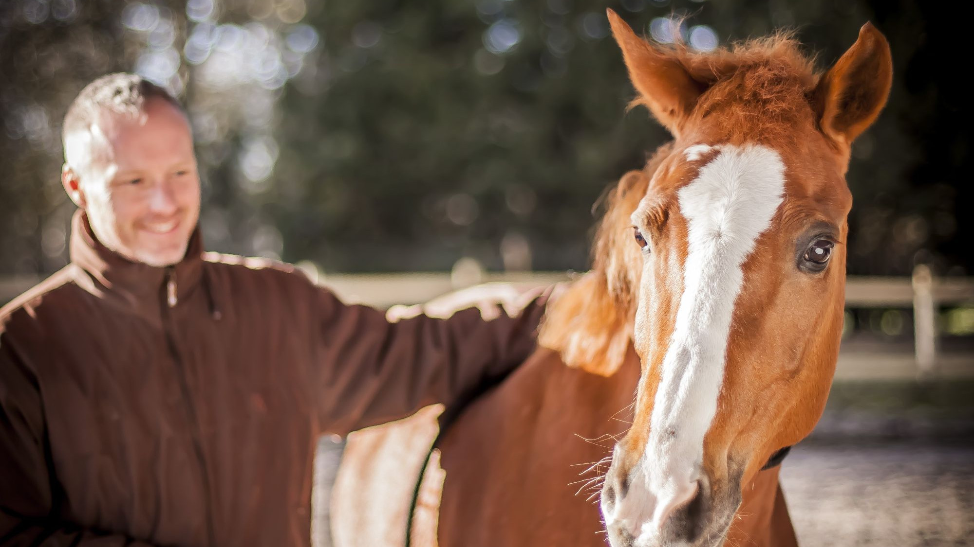 Représentation de la formation : EquiQE - Développer son intelligence émotionnelle au contact du cheval -2021