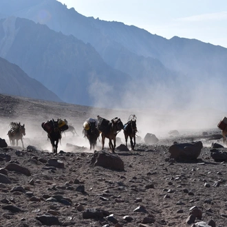 tourhub | Unu Raymi Tour Operator & Lodges | Aconcagua Base Camp Trek – 7 Days 