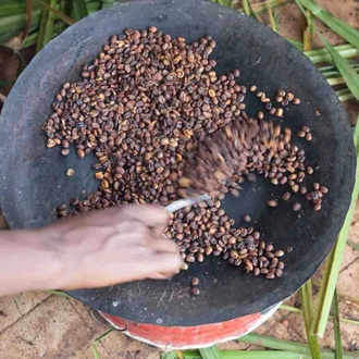 tourhub | YellowWood Adventures | Journey through the Origins of Ethiopian Coffee 