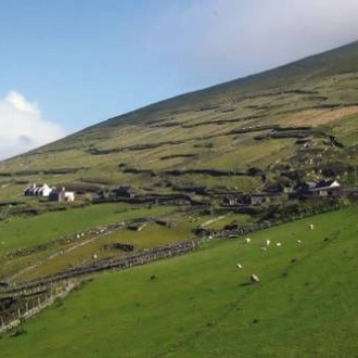 tourhub | UTracks | Dingle Peninsula Walk 