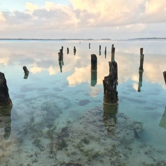 tourhub | Today Voyages | Yucatan Peninsula in family 