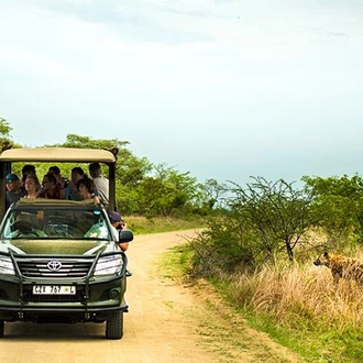 tourhub | Bamba Travel | Kruger, Eswatini & Lesotho Safari 14D/13N 