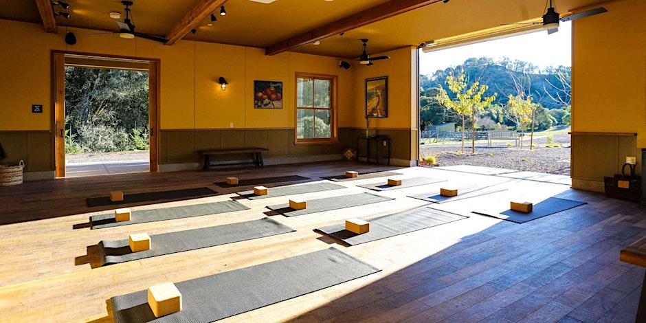 Indoor yoga space