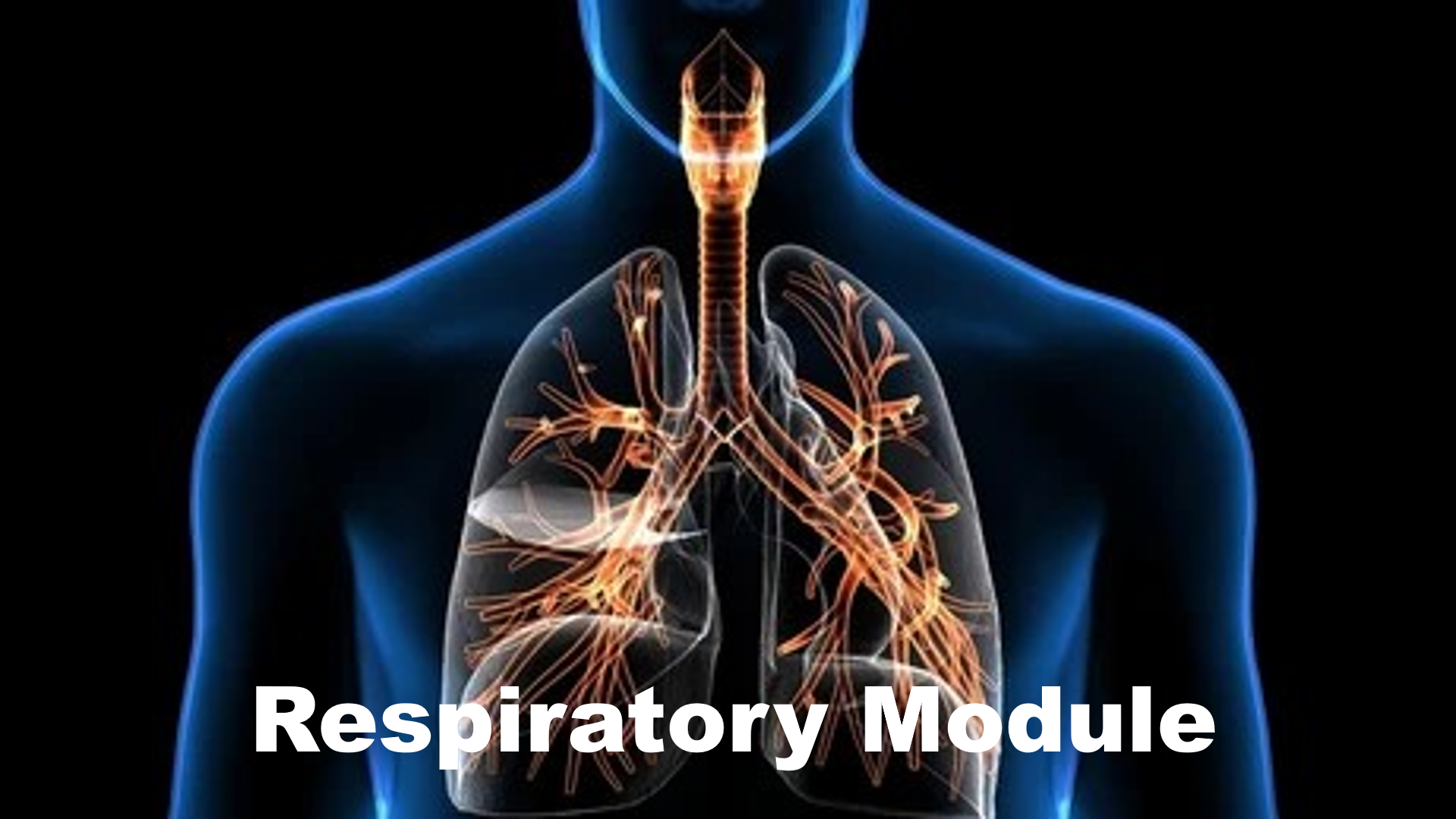 bronchial-asthma-part-3-2024-pharmacology-in-capsules