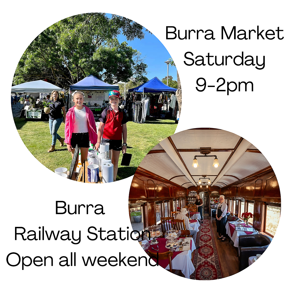 Burra happenings during open gardens