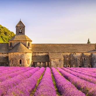 tourhub | Exodus Adventure Travels | Hilltop Villages of Provence Cycling 