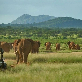 tourhub | Gracepatt Ecotours Kenya | 4 Days Aberdares National park & Samburu National Reserve Wildlife Safari  