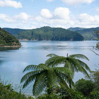 tourhub | Heritage Expeditions | Unseen Queen Charlotte Sound 