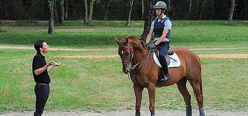 Représentation de la formation : DES JEPS MENTION EQUITATION 