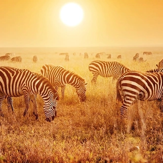 tourhub | Travelsphere | Kenya: Safari and Savannah Sunsets 