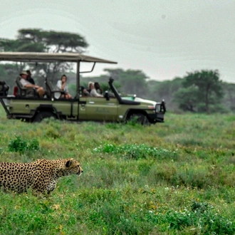 tourhub | Tanzania Wildlife Adventures | Walking Safari in the Ngorongoro Crater 