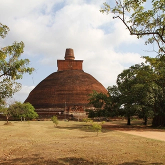 tourhub | Travel Talk Tours | Splendours of Ceylon (5 & 4 Star Hotels) 