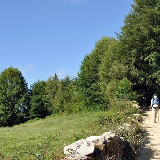 tourhub | Bamba Travel | Camino de Santiago Walking Experience 7D/6N (from Sarria) 