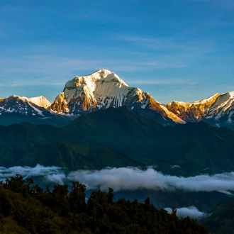 tourhub | Alpine Club of Himalaya | Ghorepani Poon Hill Trek - 5 Days 