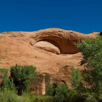 tourhub | Intrepid Travel | Hiking and Backpacking Utah's Coyote Gulch		 