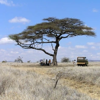 tourhub | Globus | Kenya: A Classic Safari 