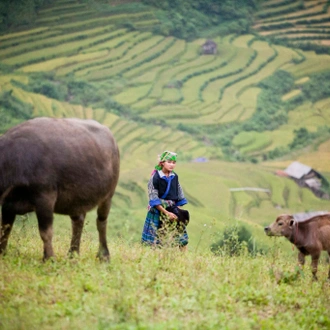 tourhub | Mr Linh's Adventures | Mu Cang Chai trekking 4 days 3 nights 