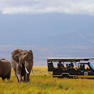 tourhub | Gracepatt Ecotours Kenya | 6 Days Amboseli, Lake Naivasha & Masai Mara Safari on 4x4 Jeep 