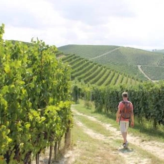 tourhub | UTracks | Piedmont: Land of Barolo and Barbera 