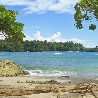 tourhub | Destiny Travel Costa Rica | 13 days: Jungle and Beach in Costa Rica  