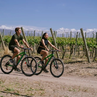 tourhub | Signature DMC | 4-Days Experiencing Mendoza - Secrets of Wine & Nature! 