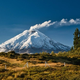 tourhub | Ecuador Galapagos Travels | 8 Days Cuyabeno Wildlife Reserve and Middle of the World Discovery 