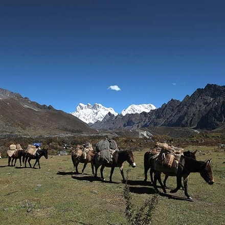 Wonders of Bhutan Incl. (3-Day) Gangtey Nature Trek