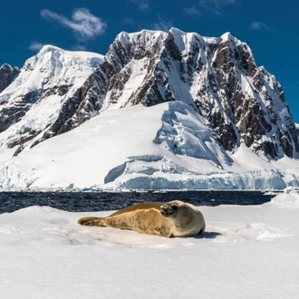 tourhub | World Expeditions | Falklands, South Georgia & Antarctica 