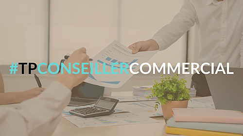 Représentation de la formation : Titre Professionnel Conseiller Commercial