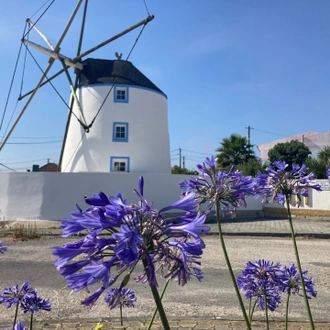 tourhub | Exodus Adventure Travels | Coimbra to Lisbon Cycling 