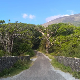 tourhub | Exodus Adventure Travels | Unspoilt Ring of Kerry Cycling 