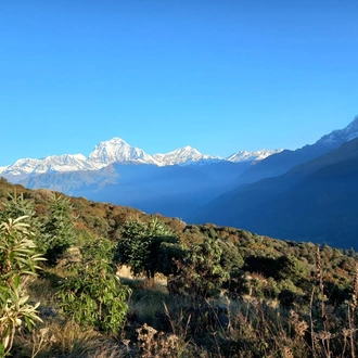 tourhub | Cordial Trek Pvt. Ltd | Annapurna Basecamp trek 