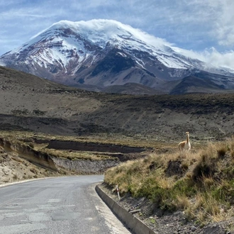 tourhub | Ecuador Wonders | Nature Mainland Ecuador Small Group Tour 