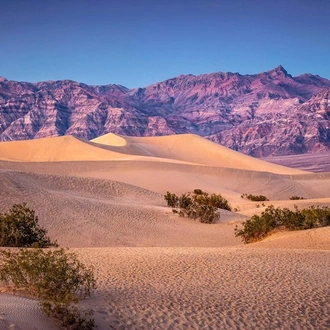 tourhub | Trafalgar | America's Great Desert National Parks End Tucson 