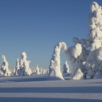 tourhub | Indus Travels | Rovaniemi Winter Experience 