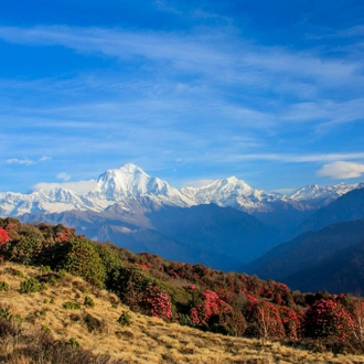 tourhub | Exodus Adventure Travels | Annapurna Sanctuary Trek 