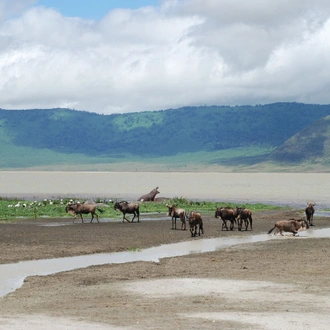 tourhub | SpiceRoads Cycling | Cycling Kilimanjaro to the Ngorongoro Crater 