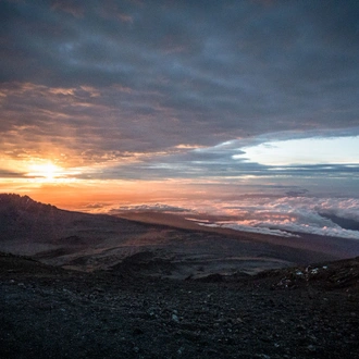 tourhub | Intrepid Travel | Kilimanjaro: Machame Route 