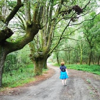 tourhub | UTracks | Camino Sanabrés to Santiago 