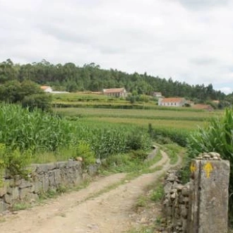 tourhub | UTracks | The Portuguese Camino - Porto to Santiago 