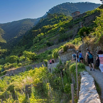 tourhub | G Adventures | Tuscany to Cinque Terre: Wines, Villages & Unforgettable Walks 