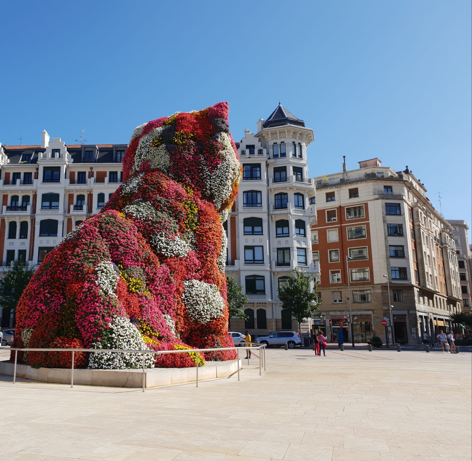 Tour de Bilbao desde San Sebastián en Minibús - Accommodations in San Sebastian