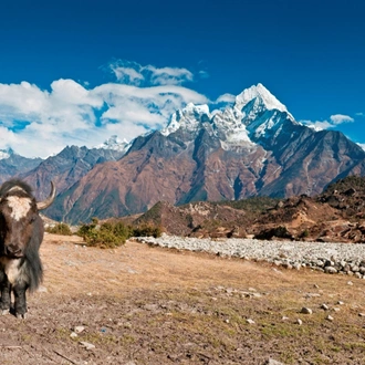 tourhub | Panda Experiences | Beautiful Ladakh 