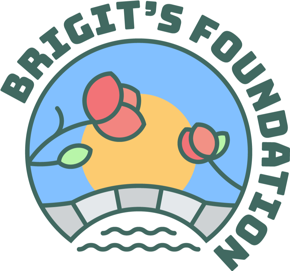 Brigit A Feeney Foundation for Hope and Healing logo